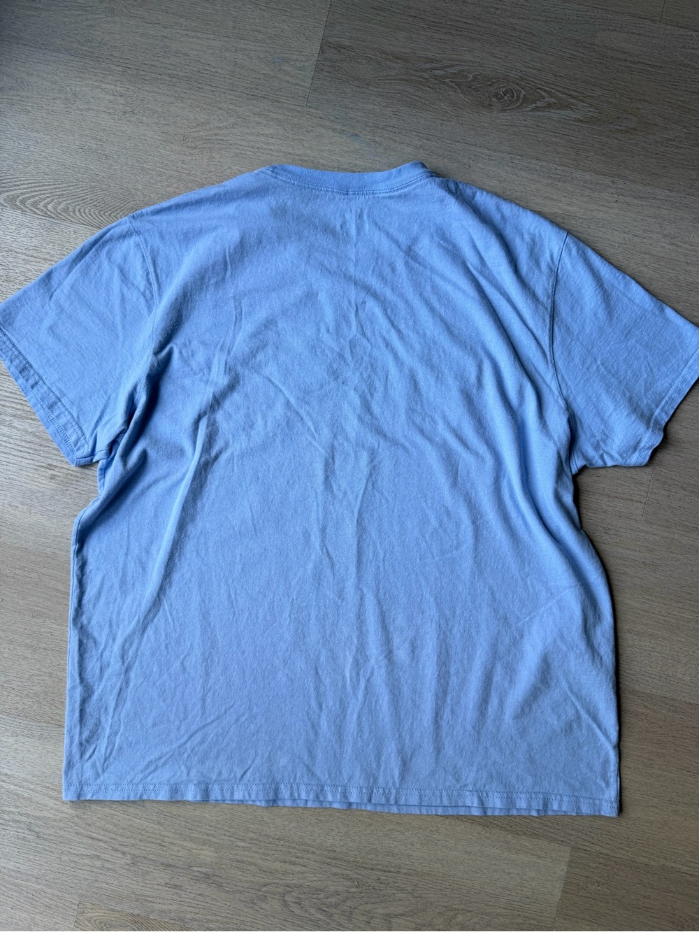 Champion Embroidered Script Tee in Light Blue - Picture 4 of 6